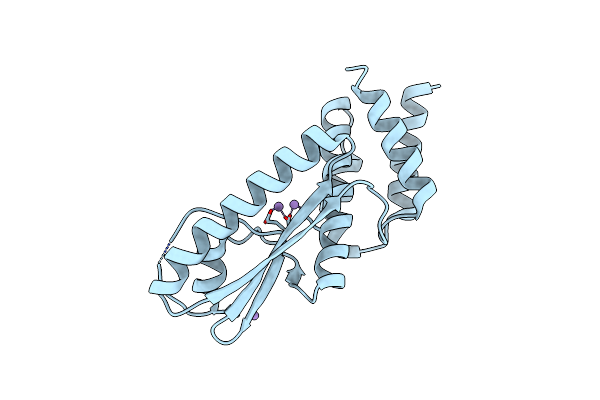 5J1P image