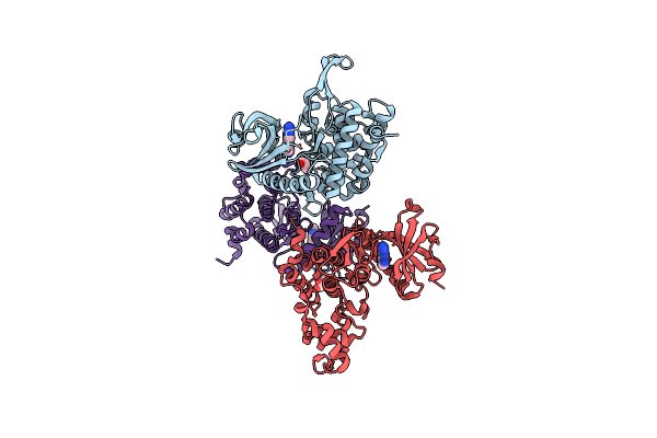 5J1V image
