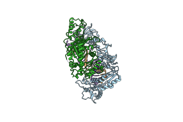 5J2N image
