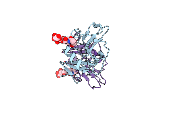 5J2S image