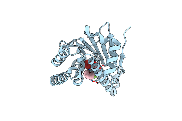 5J2X image