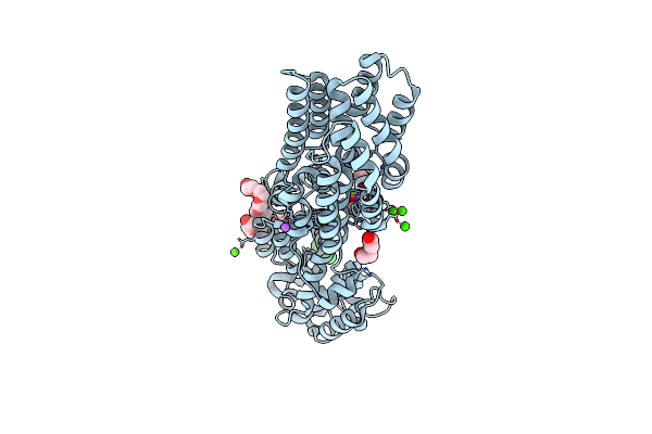5J2Z image