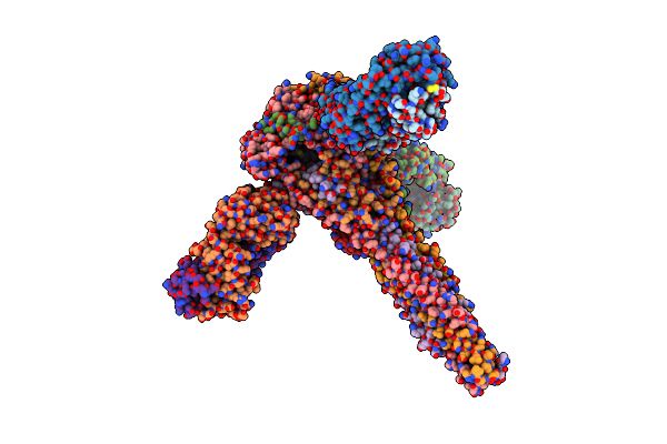5J3D image