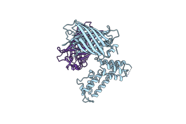 5J3N image