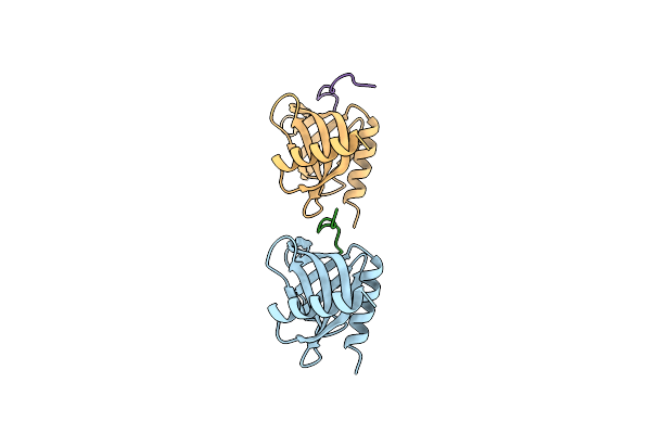 5J3Q image