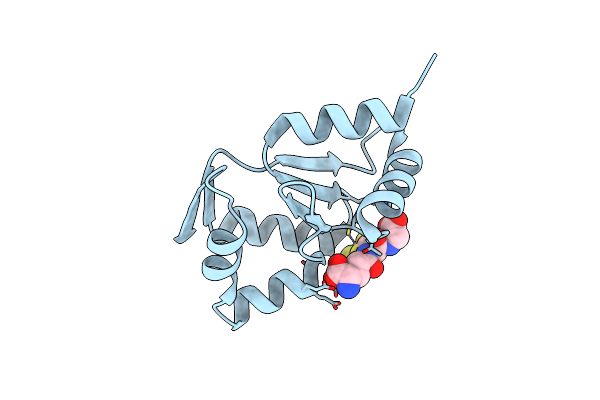 5J3R image