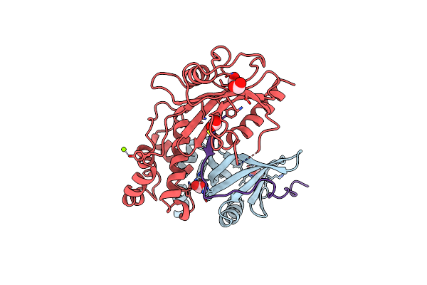 5J3T image