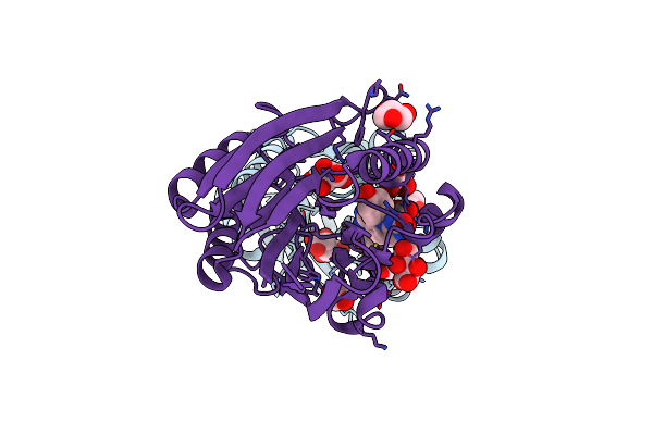 5J42 image