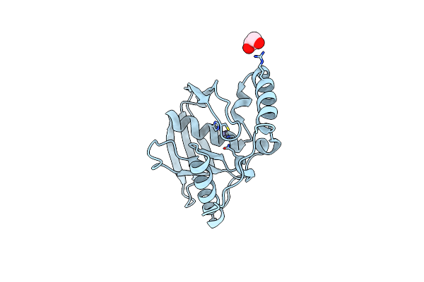 5J46 image