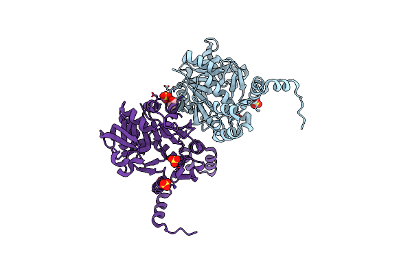 5J49 image