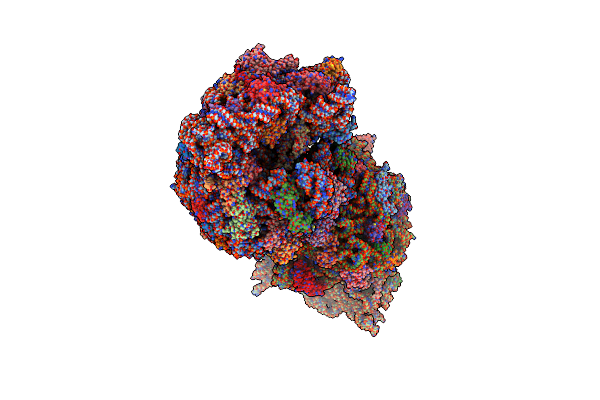 5J4D image