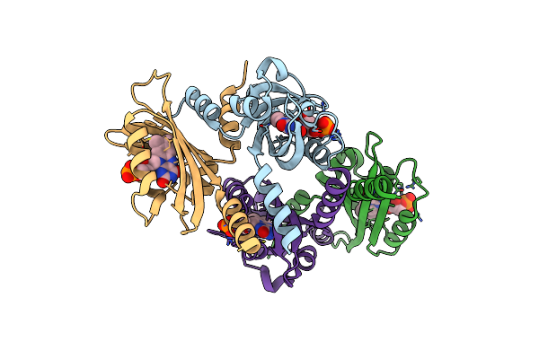 5J4E image