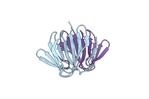 5J4G image