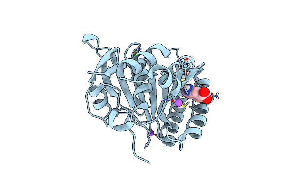 5J4H image
