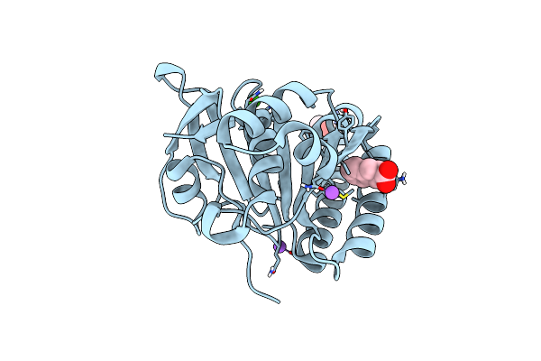 5J4K image