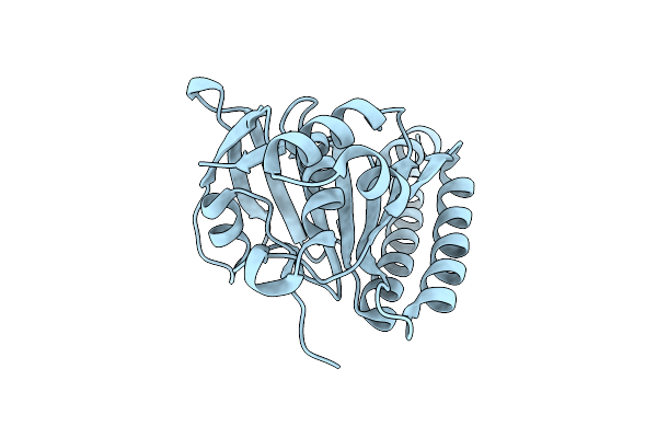 5J4L image