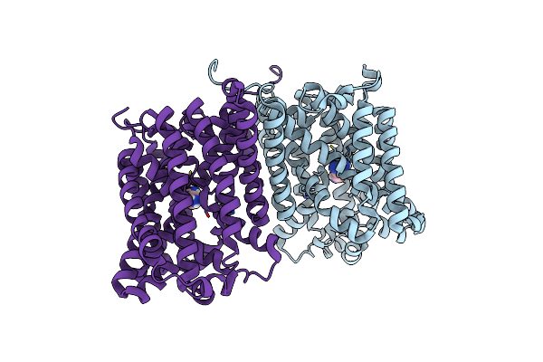 5J4N image