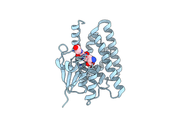 5J4U image