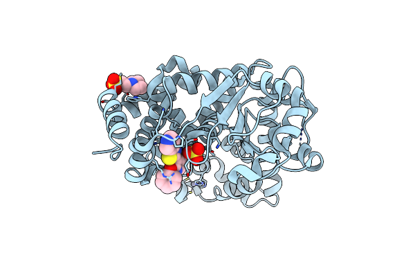5J4V image