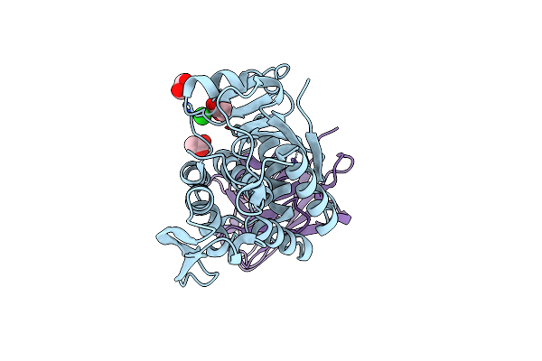5J56 image