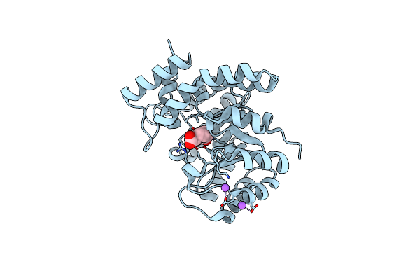 5J5D image