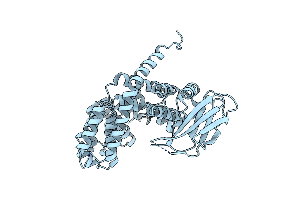 5J5E image