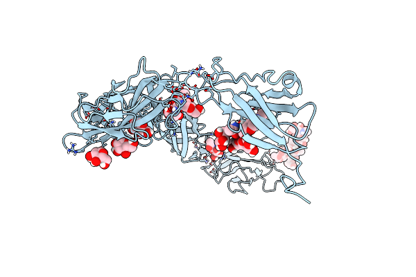 5J5J image