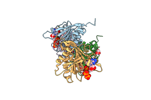 5J5O image