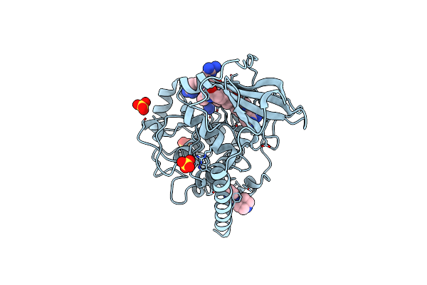 5J5X image