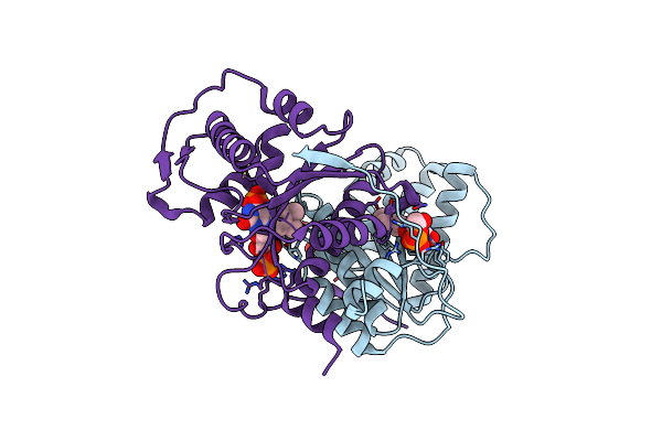 5J62 image