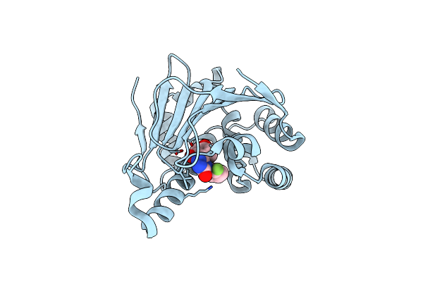 5J64 image