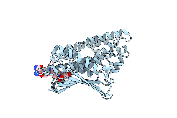 5J6A image