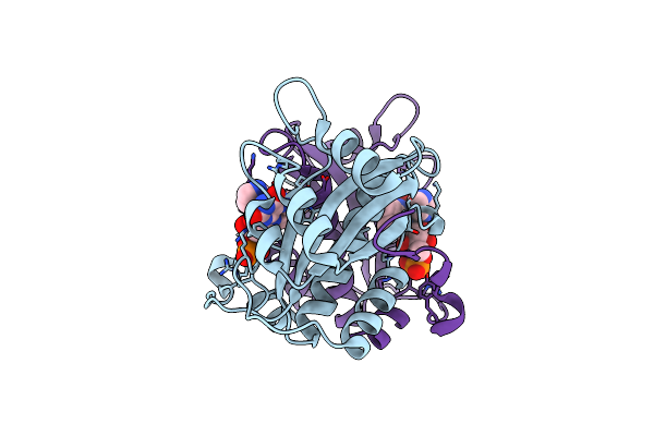 5J6C image