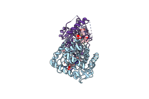 5J6D image