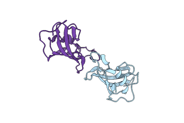 5J6E image