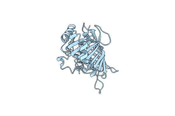 5J6O image