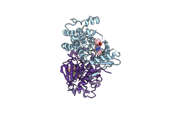 5J7B image