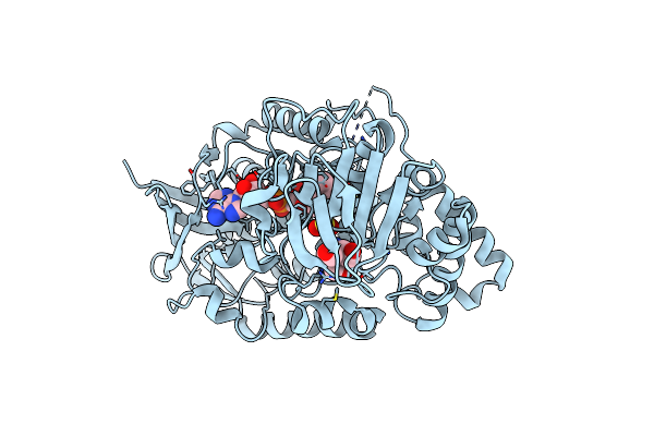 5J7X image