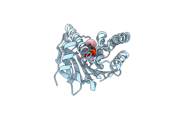 5J82 image