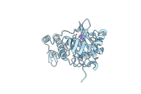 5J8C image