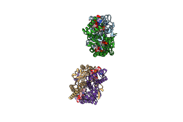 5J8D image
