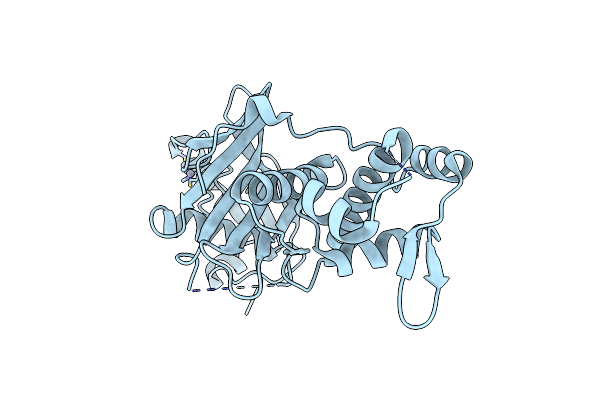 5J8F image