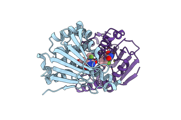 5J8U image