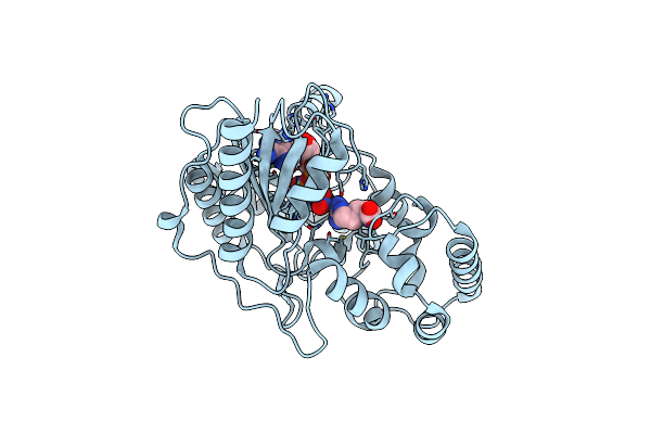 5J9A image