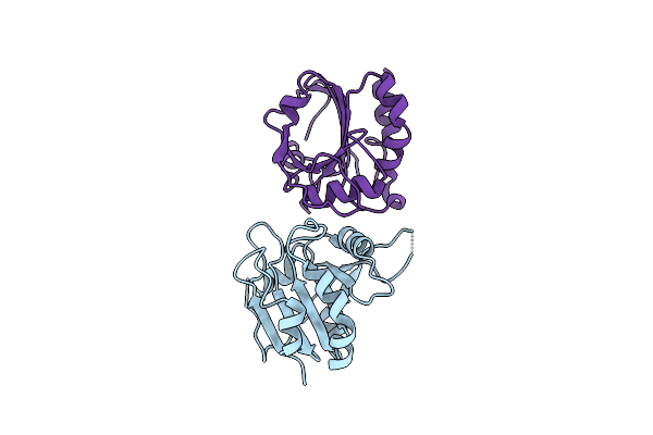 5J9B image