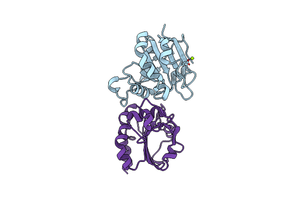 5J9C image