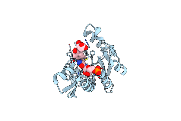 5J9F image
