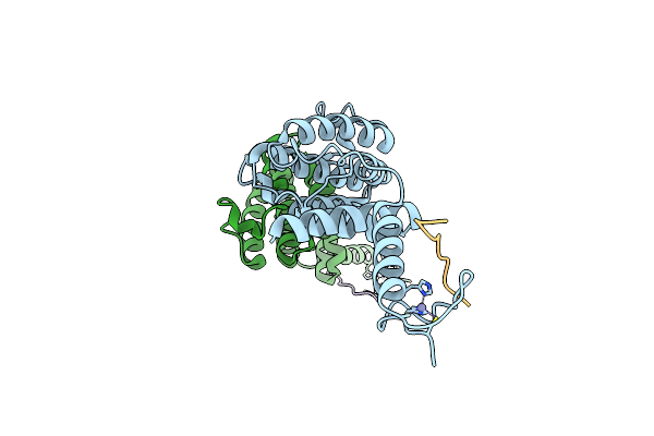 5J9K image