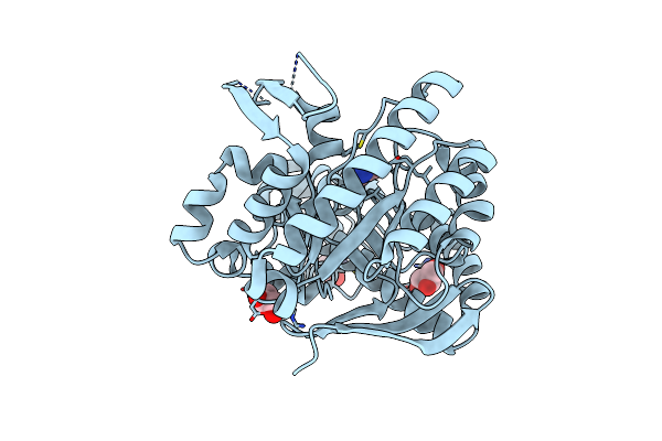 5J9N image