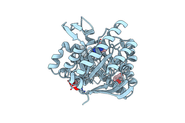 5J9O image